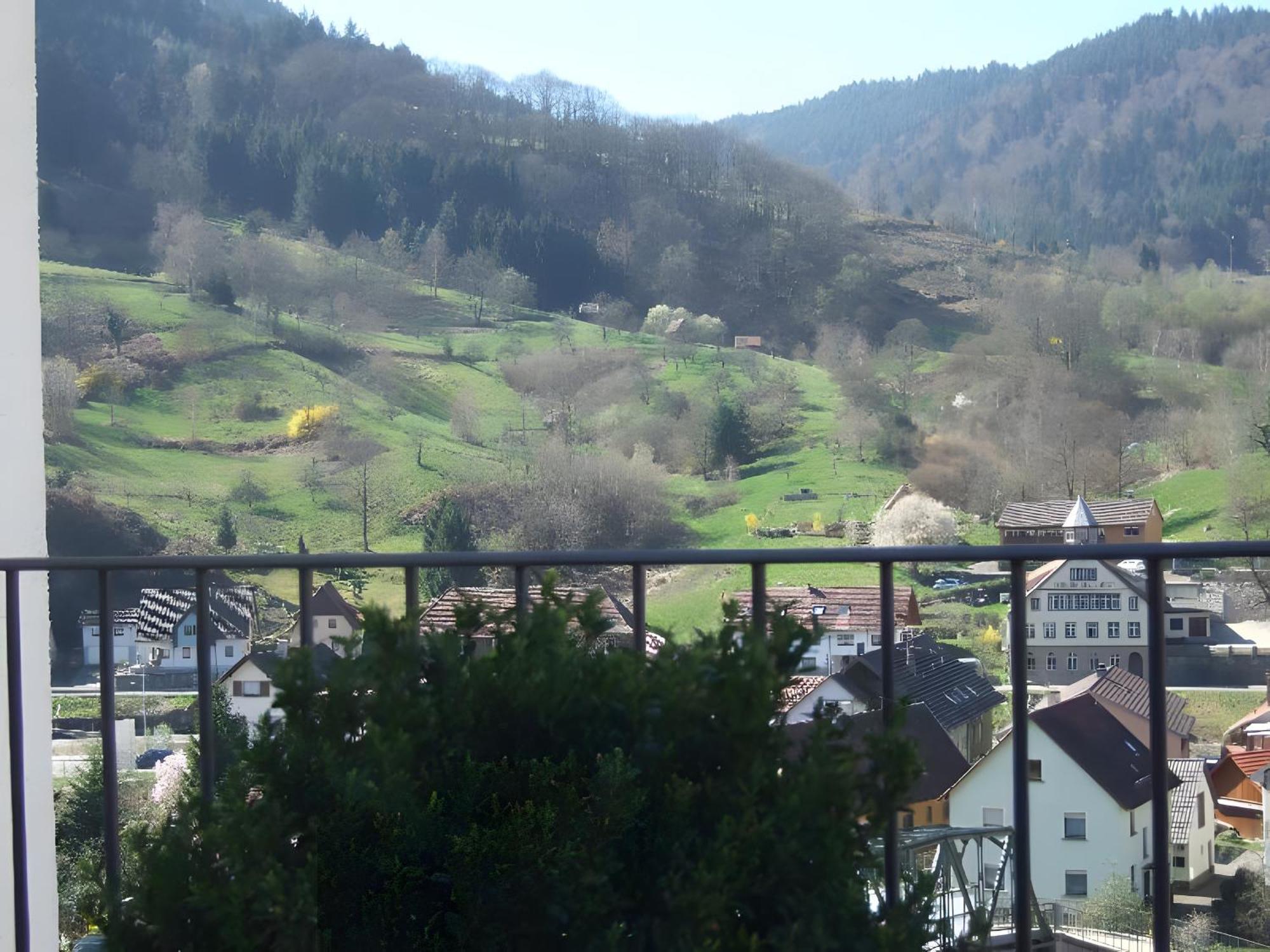 Regina'S Gaestehaus Weisenbach Extérieur photo