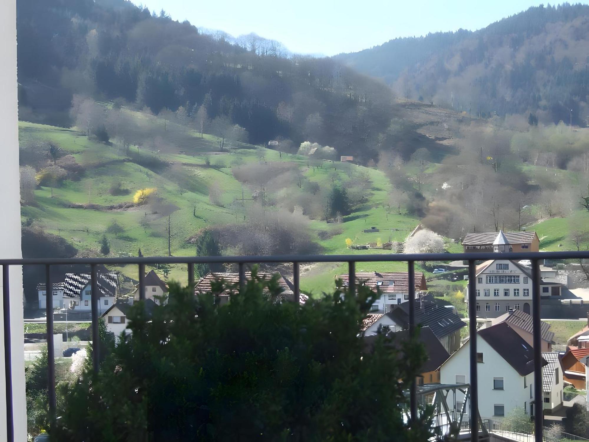 Regina'S Gaestehaus Weisenbach Extérieur photo